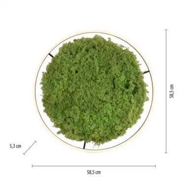 LED plafonska svetiljka sa islandskom mahovinom Green Ritus R600 PAUL NEUHAUS